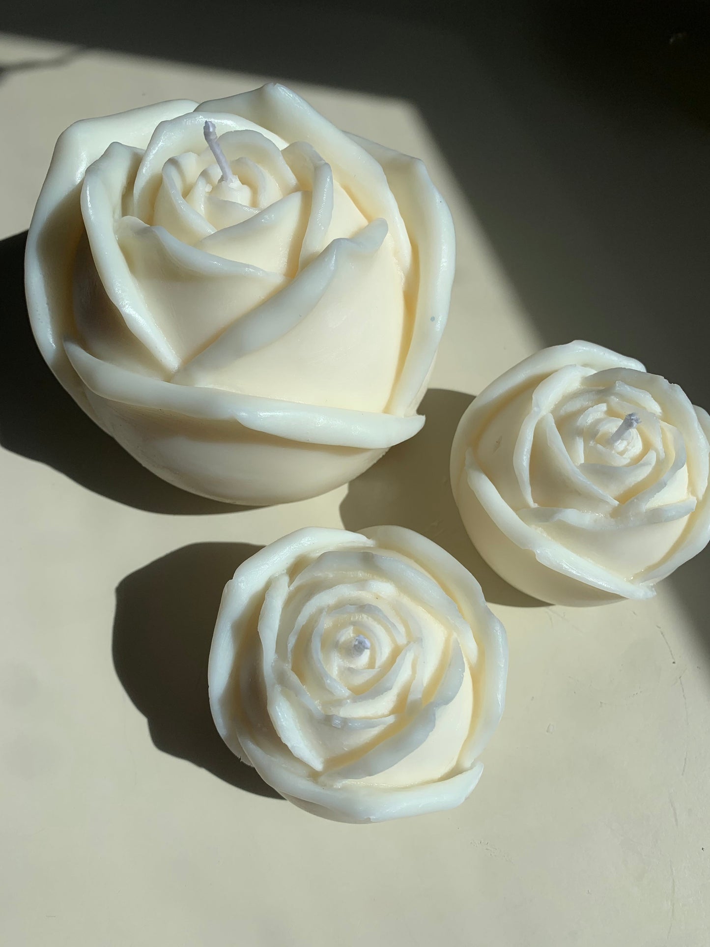 Mini Roses