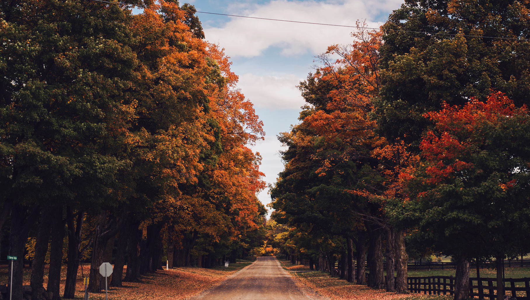 Slow Burn: Autumn at Brookman