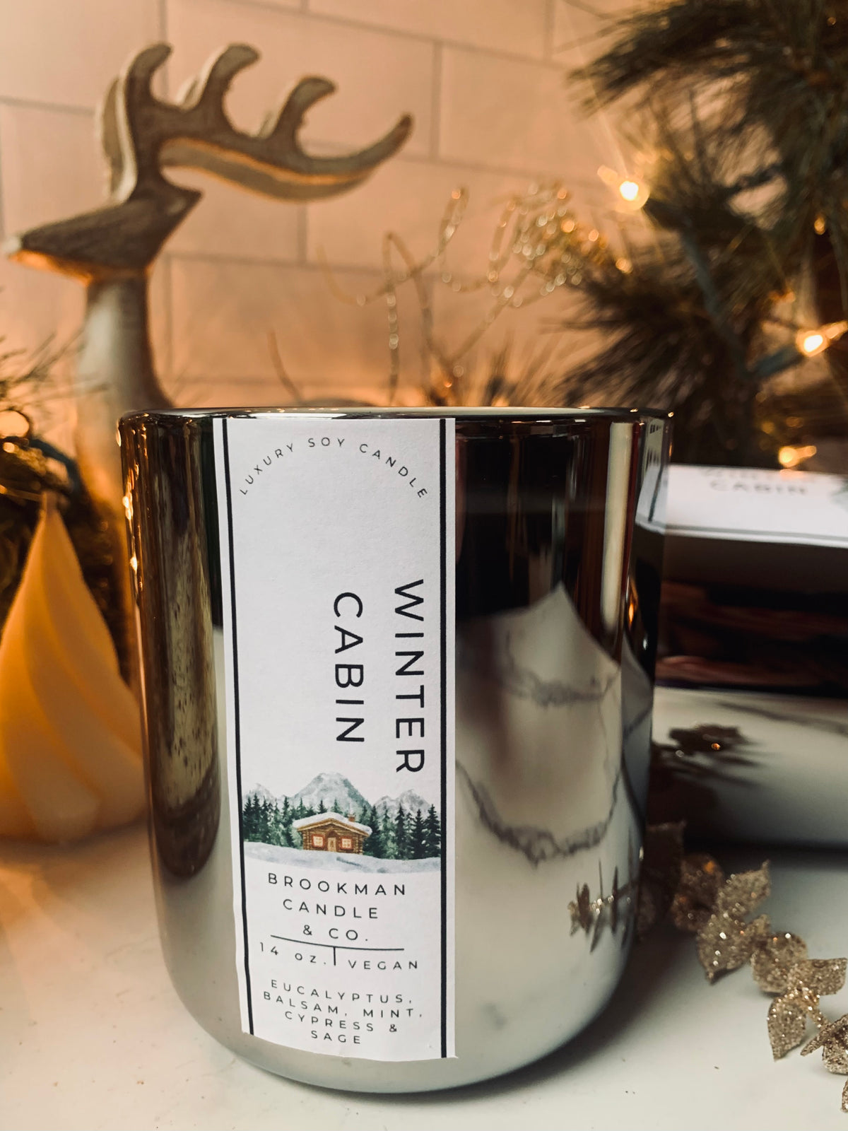 Winter Cabin-SMS