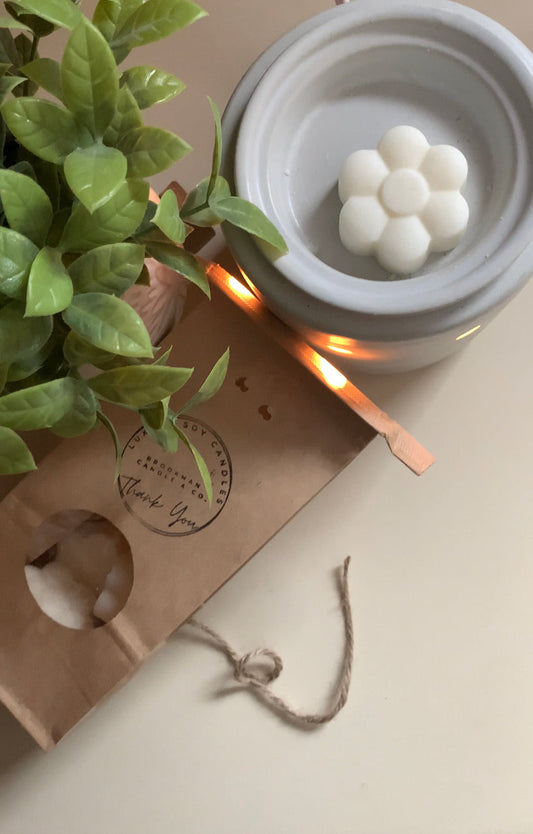 Wax Melts: Toasted Coconut