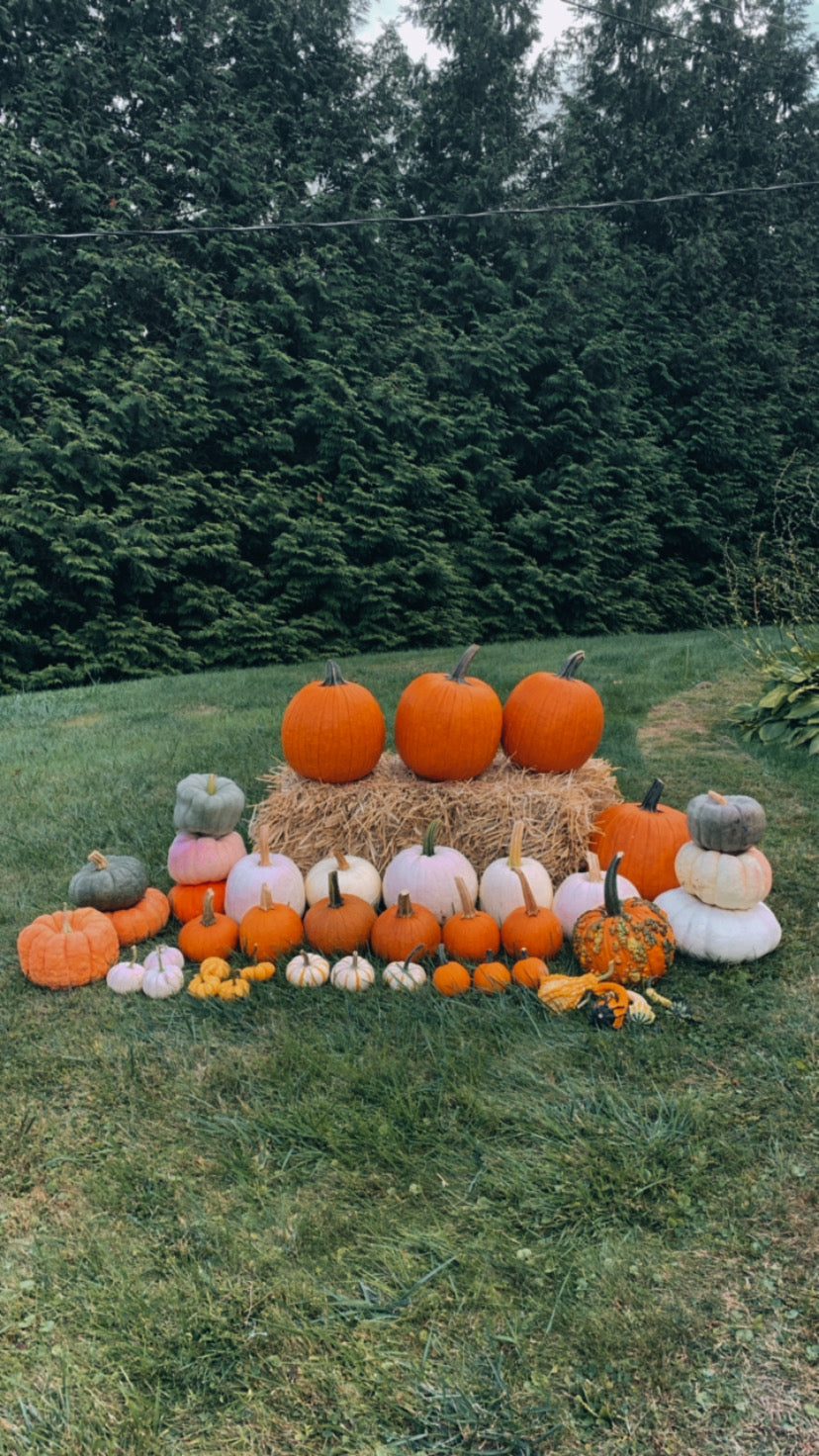 The Harvest