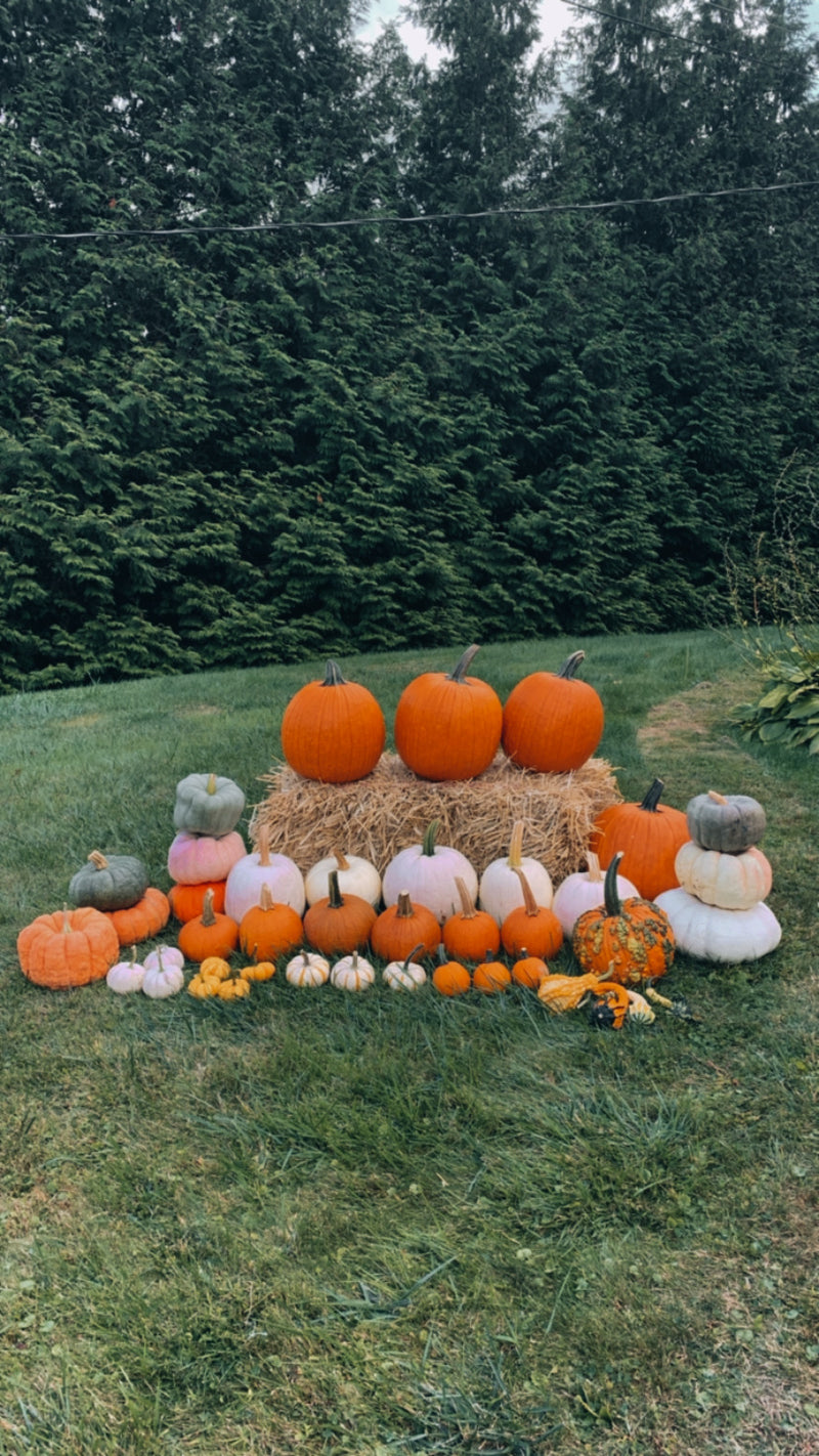 The Harvest