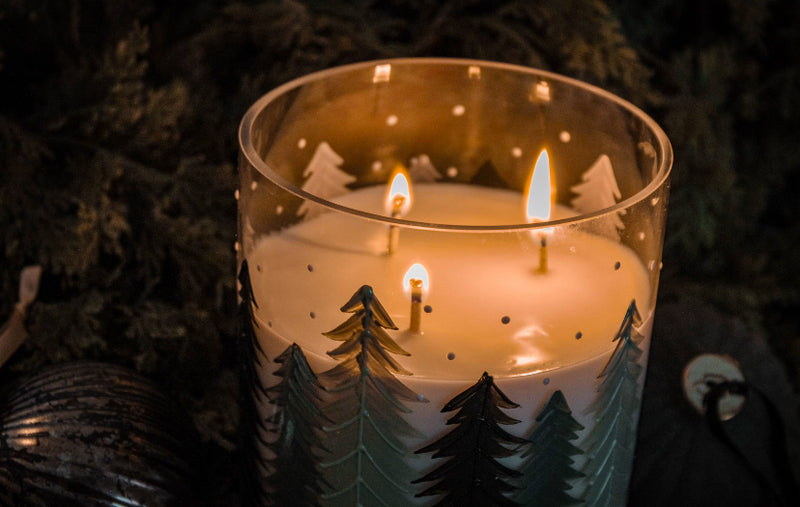 Fraser Fir
