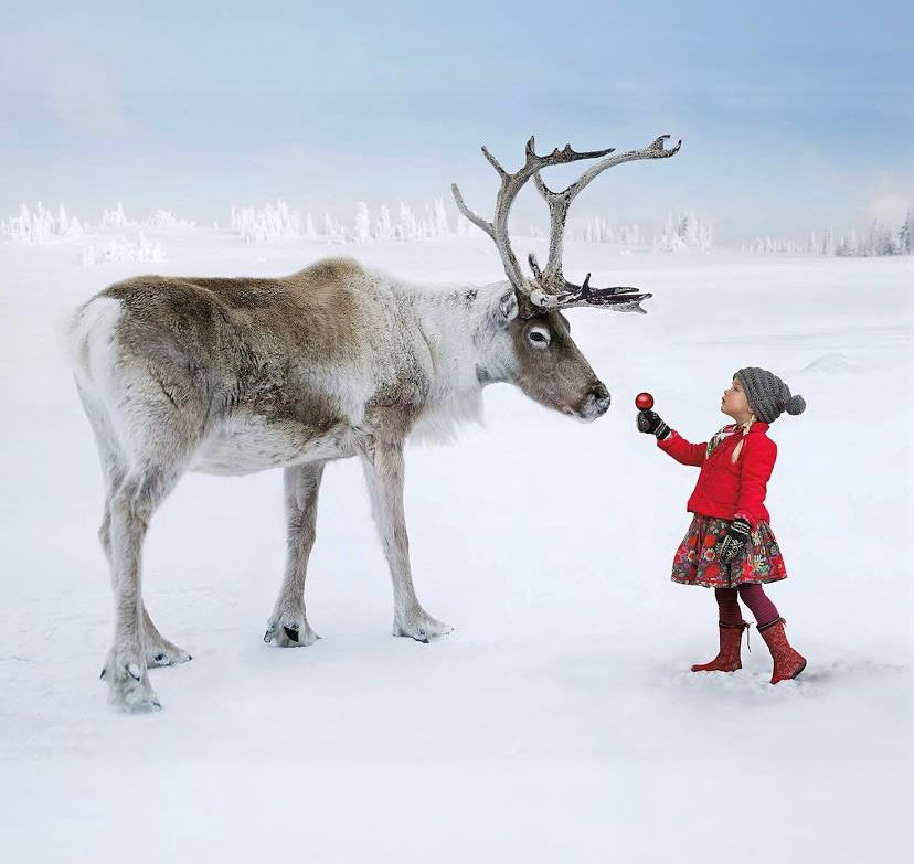 Reindeer Kisses