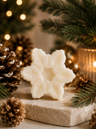 Wax Melts: Christmas Wreath