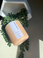 Apricot Grove